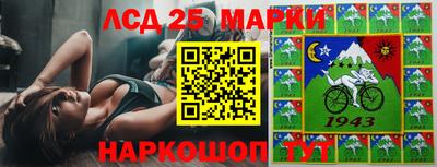 a pvp Новодвинск
