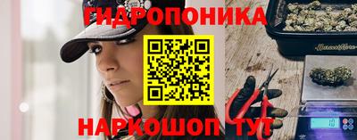 a pvp Новодвинск