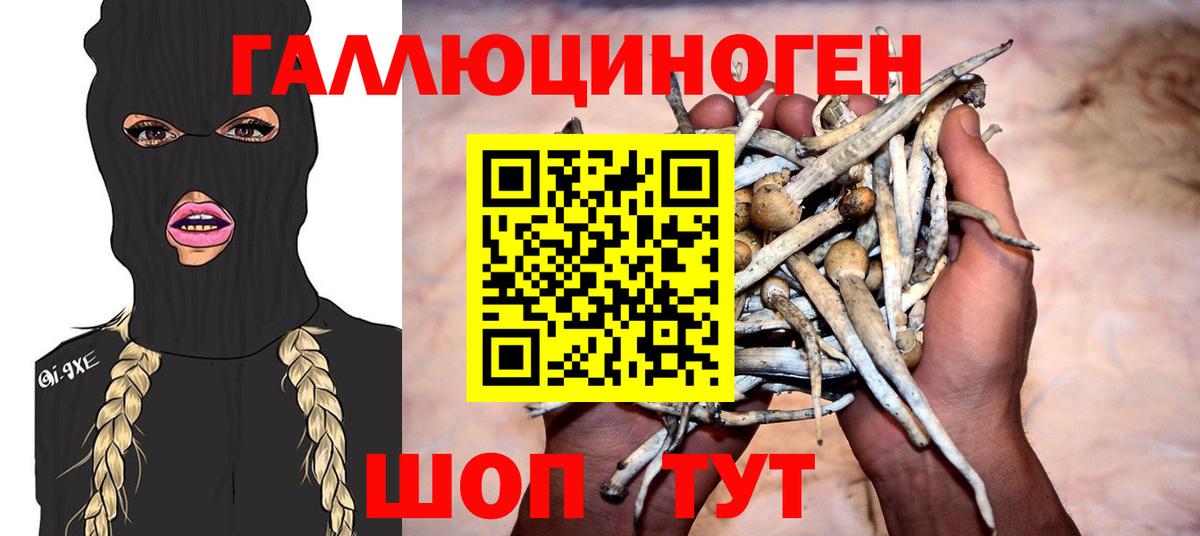 Псилоцибиновые грибы Cubensis  Вход с VPN  Тихорецк 